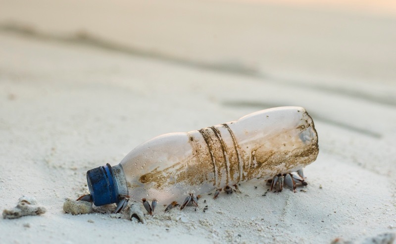 到 2060 年，全球塑料垃圾数量预期增加两倍