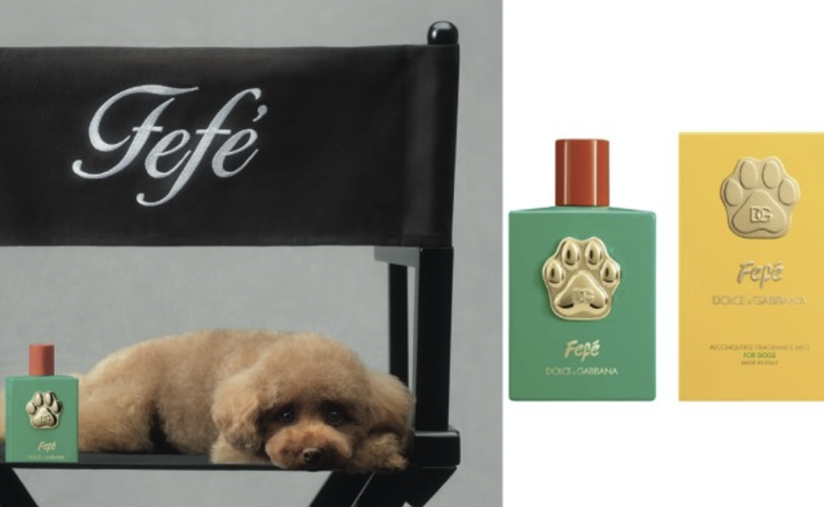 Dolce & Gabbana 推出设计师狗香水