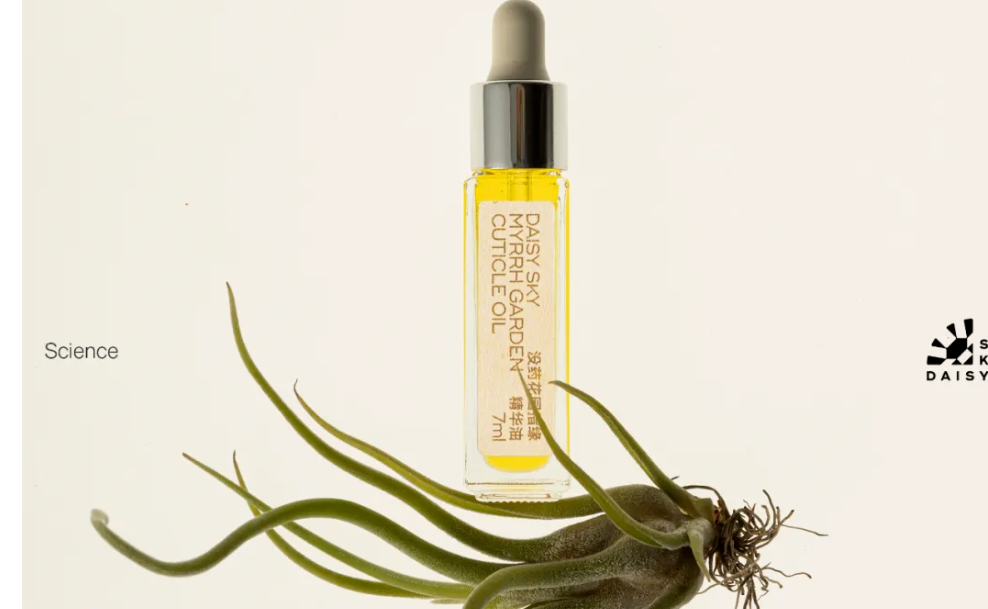 雏菊的天空针对指缘推新