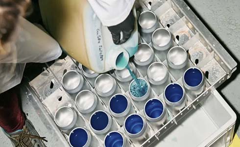 Fillsy & Meaow 在波兰开设可持续包装工厂 Fillsy & Meaow 在波兰开设可持续包装工厂