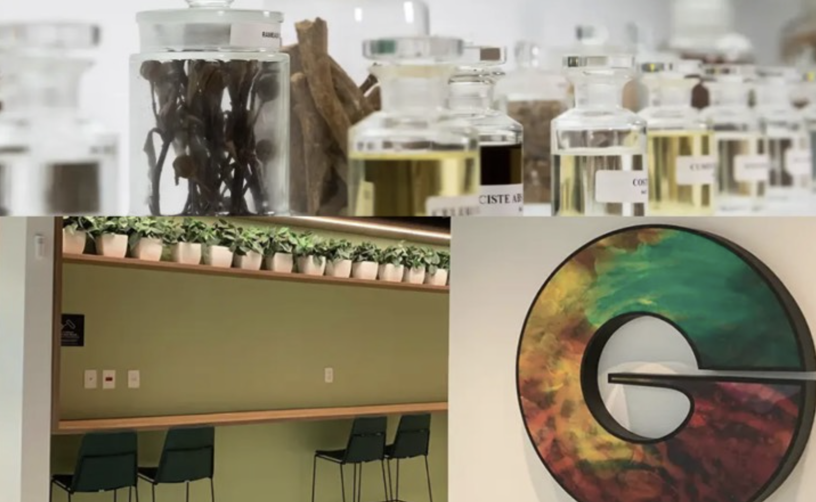 奇华顿新香料生产厂破土动工 